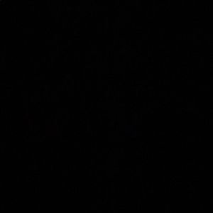 Meet your Posher, Jared